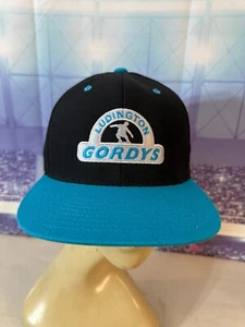 GORDY’S SKATE COMPANY Yupoong Ludington Michigan Skateboarding Logo Snapback - Picture 1 of 9