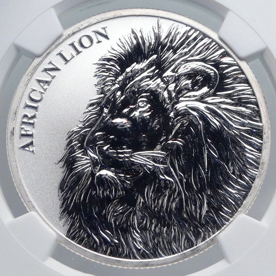 2018 CHAD African ARTISTIC LION Map Antique Silver 5000 Francs Coin NGC i89266 - Image 1 of 4