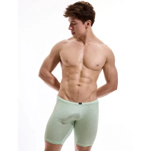 NUEVO CON ETIQUETAS N2N Bodywear Rayas Motociclista Ropa Interior Talla L - Imagen 1 de 10