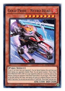 Gold Pride Nytro Head #MP24-EN181 25th Anniversary - Picture 1 of 2