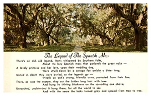POSTAL - La Leyenda del Musgo Español Postal Servicio Nacional Sin Publicar - Imagen 1 de 8