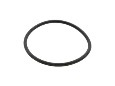 For 1971-1980 Volkswagen Super Beetle Crankshaft O-Ring Rear 76977FD 1973 1972 - Image 1 of 2