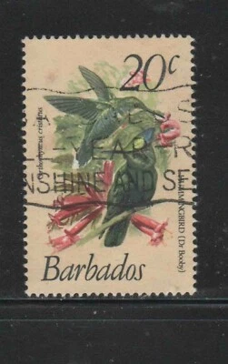 巴巴多斯 #501 1979 20c 鸟类 F-VF 二手 — 第 1/2 张图片