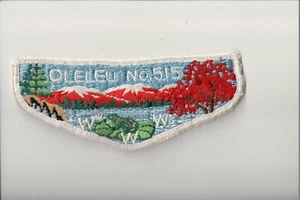 Lodge 515 Oleleu F-5b OA flap - Picture 1 of 1