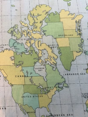 Mapa del Mundo Tela Algodón Azul Verde Benartex por Yarda Jackie Clark Foto 1 de 4