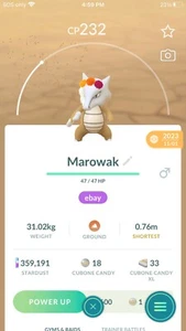 SALE Pokémon GO Cempasúchil Crown Marowak - Event Costume - Día de Muertos - Picture 1 of 1