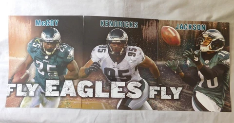 Philadelphia Eagles 9x11 Daily News-  3 Poster  Set LeSean McCoy DeSean Jackson Cover