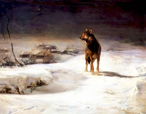 Lone Wolf in Winter Night  6 by Alfred von Kowalski-Wierusz 11 x 14 - Picture 1 of 1