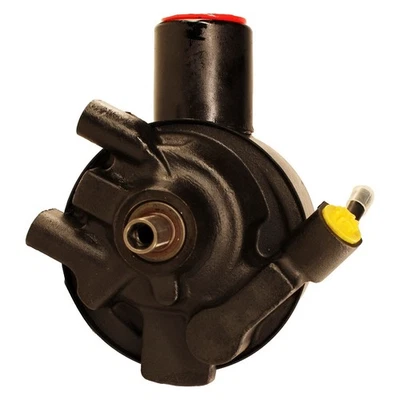 For Dodge Charger 1969-1976 Lares 12122 New Power Steering Pump Foto 1 de 4