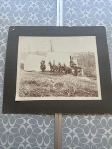 Antique Photograph Camp Lumberjacks Mules 10” X 8” - Picture 1 of 12