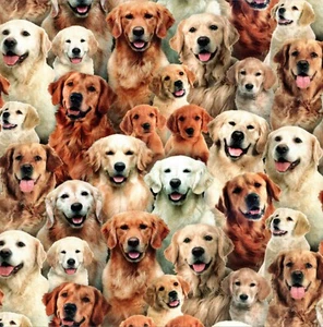 Elizabeths Studio - Best Friend - Golden Retrievers - Multi - Picture 1 of 2