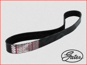 BMW 5 Series 2011 - 2016 3.0L Gates 8PK940 Multi Ribbed Drive Belt - Picture 1 of 1