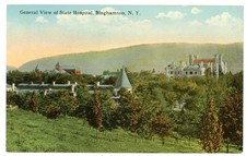BINGHAMTON, NY, Birdseye View Of State hospital & motivos-Cartão Postal