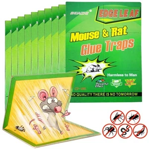 10 Pack Large Mouse Glue Traps with Enhanced Stickiness Glue Traps for Rat, R... - Picture 1 of 6