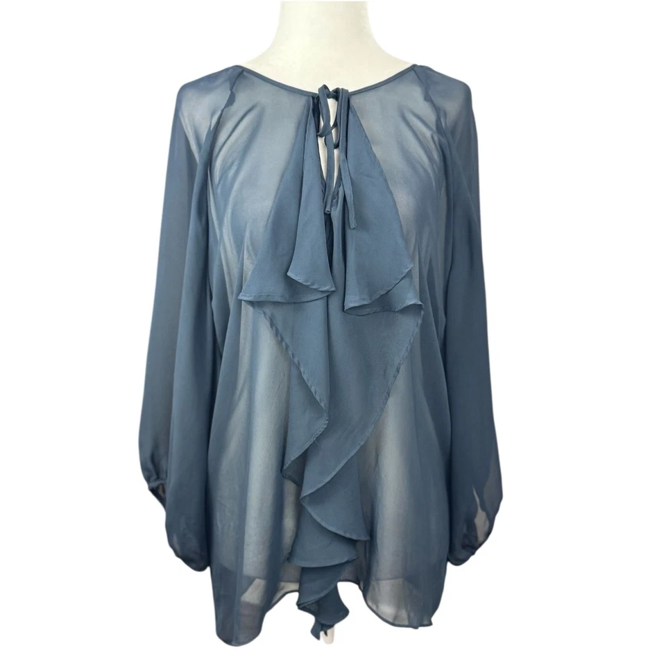 AQUA Sheer Blue Ruffle Blouse Womens M Long Sleeve Chiffon Top Romantic Boho - Image 1 of 4