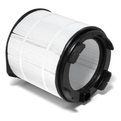 Cartucho grande Sta-Rite para System 3 S7M400/S8M500 - 25022-0225S Foto 1 de 4