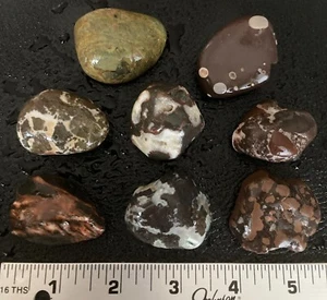 8pz Michigan Rock Sampler -Amigdaloidale Brecciato Basalto Prehnite Epidoto Agata - Foto 1 di 6