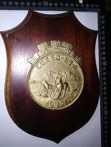 CREST MARINA MILITARE CORSO 89-A LUPI ACCADEMIA NAVALE RARITÀ - Foto 1 di 1