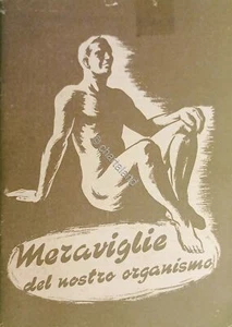 Pubblicità Medicina - Meraviglie del nostro organismo - Rimedi Heumann - 1951 - Foto 1 di 1