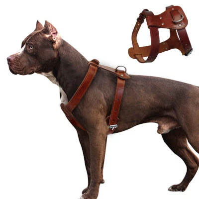Brown Anti Traction Leather Dog Harness Adjustable Walking Staffy New - Image 1 of 4