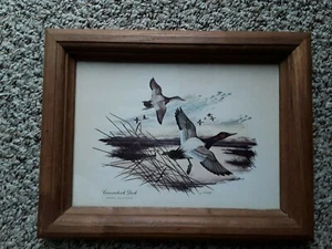 "DUCKS IN FLIGHT " FRAMED PICTURE - Picture 1 of 3