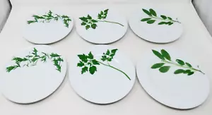 Juego de 6 platos de ensalada de porcelana Schonwald Dibbern Herbaticum 7,5" tres hierbas - Imagen 1 de 8