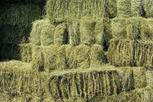 Meadow Hay Bale - Animal Feeding & Bedding - Nutritious Grasses & Wildflowers - Picture 1 of 5