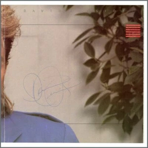 David Cassidy Signed Concert Programme & Concert Tickets (UK) - Foto 1 di 2