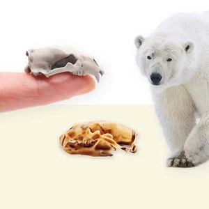 Polar Bear Skull Replica- 1:12 scale miniature diorama dollhouse (1 skull) - Picture 1 of 9