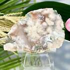 Green Flower Agate Sakura Cherry Blossom Slice with Stand Crystal 100g