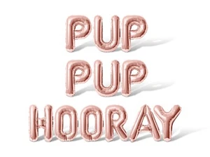 PUP PUP HOORAY Letter Balloon Banner - Dog Birthday Party Supply Decorations - Picture 1 of 55