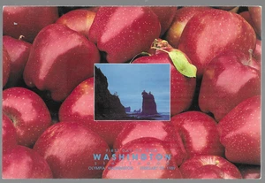 Washinton State FDC Program Scott 2404 Statehood 100 Years Olympia Wa Feb 1989 - Picture 1 of 3