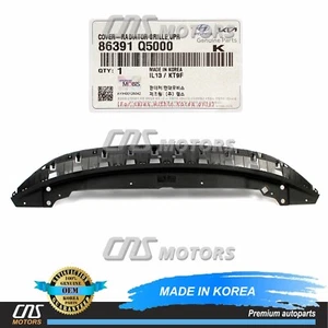 ⭐GENUINE⭐ Radiator Support Access Cover for 2021-2024 Kia Seltos 86391Q5000 - Picture 1 of 6