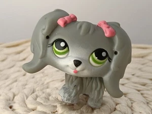 petshop authentic LPS Chien Bichon Maltais Dog Maltese Rare #193 original hasbro - Imagen 1 de 3