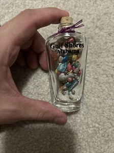 SEA SHELLS GULF Shores Alabama BEACH MINI SMALL JAR 2018 - Picture 1 of 5
