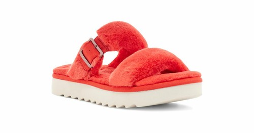 NUOVO KOOLABURRA BY UGG FURR AH FIESTA SLIDES US 8 11 S N 1110213