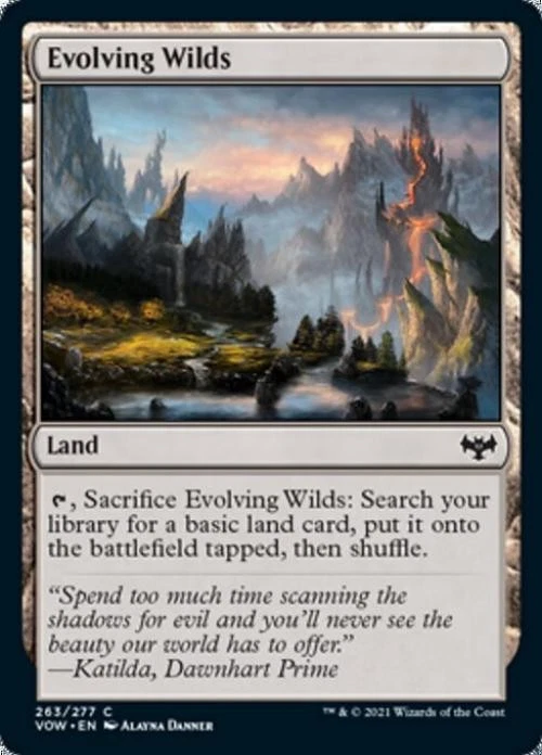 Evolving Wilds - Light Play MTG Innistrad: Crimson Vow - Image 1 of 1