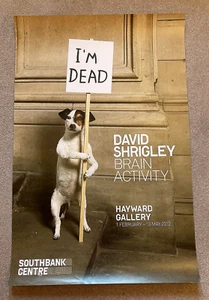 David Shrigley Brain Activity Hayward Gallery Poster 2012 - Picture 1 of 6
