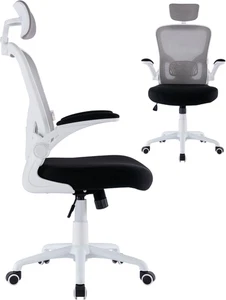 - Sedia Ergonomica da Ufficio, Scrivania, con Supporto Lombare e Regolazione Sch - Foto 1 di 9