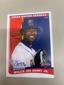 Willie Joe Garry Jr Card 2023 Cedar Rapids Kernels Team Card