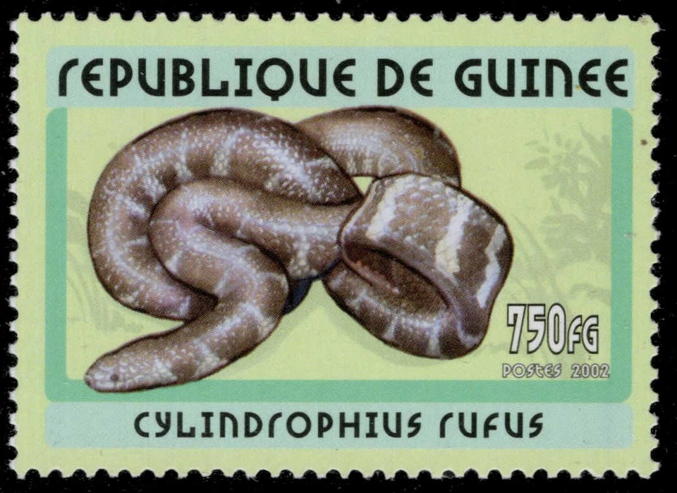 REPÚBLICA DE GUINEA Yt 2109 - Tubo cola roja serpiente "Cylindrophis ruffus" (pc32975) Foto 1 de 1