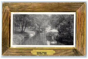 1908 Mineral Springs Trees Scene Owatonna Minnesota MN Posted Vintage Postcard