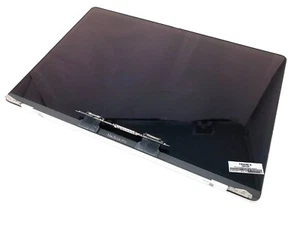 15.4" MacBook Pro A1707 Silver 2016 2017 Display LCD Assembly 661-06375 Original - Picture 1 of 5