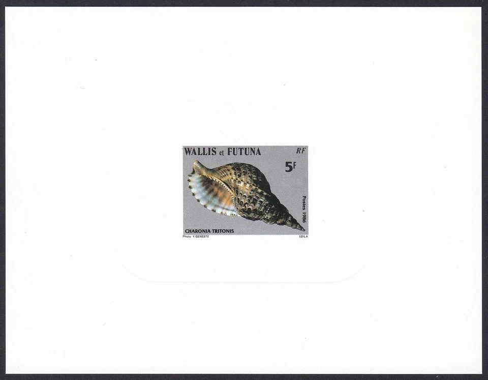 Wallis & Futuna Sc334 Seashell, Sea Snail, Charonia tritonis, Deluxe Proof - Image 1 of 1