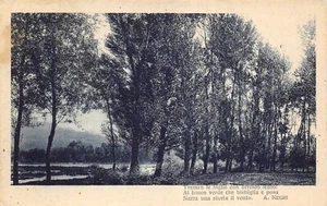 AL18-1A) CARTOLINA VERSI A. NEGRI VIAGGIATA 1924 GISSI CHIETI AGNONE - Picture 1 of 2