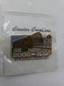 Pin puente del condado de Cobb 2000 a 2001 trabajo en equipo del club de Leones Georgia - Imagen 1 de 1