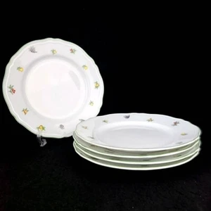 Richard Ginori Antico Eden Dinner Plate 10in(26cm) Set of 5 - Picture 1 of 7