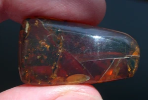 Hermosa piedra preciosa fósil de ámbar birmano rojo rubí de la era de los dinosaurios - Imagen 1 de 9
