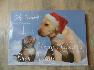 ADVENTSKALENDER Hund+Katze Schmuck 2 Armbänder und 2 Ketten mit Charms NEU - Bild 1 von 3