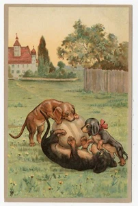 DACHSHUND NAUGHTY DOGS AND A LARGE BALL RARE OLD DOG ART POSTCARD - Picture 1 of 2